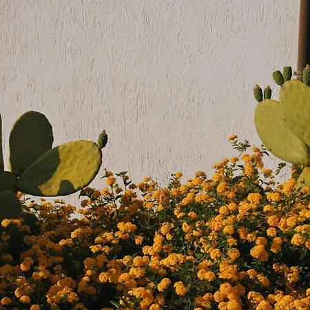 호텔 Masseria Fabrizio 3*