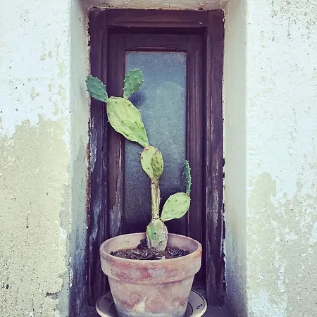 Masseria Fabrizio 호텔