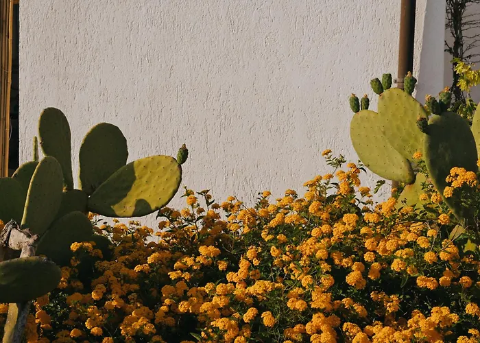 Hotel Masseria Fabrizio 3*